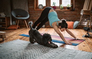 stretching with dog
