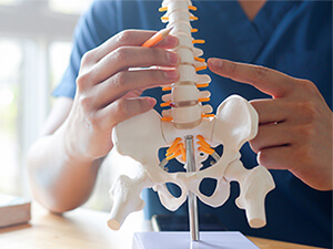 man pointing at a spine model