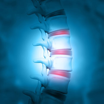 Illustration of a spine