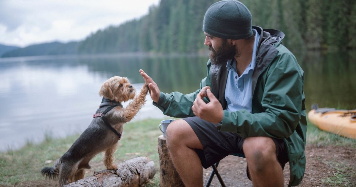 Man with dog while camping.