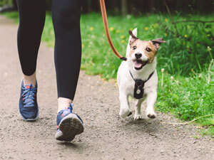 Woman walking with dog