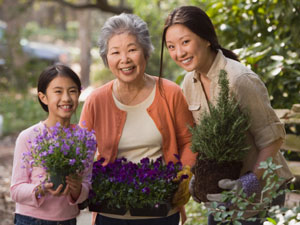 Three women planting flowers