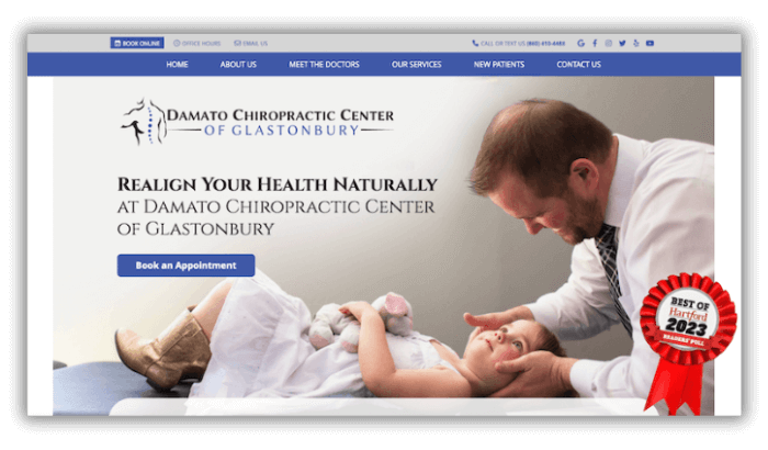 Damato website home page showing bearded doctor adjusting a baby
