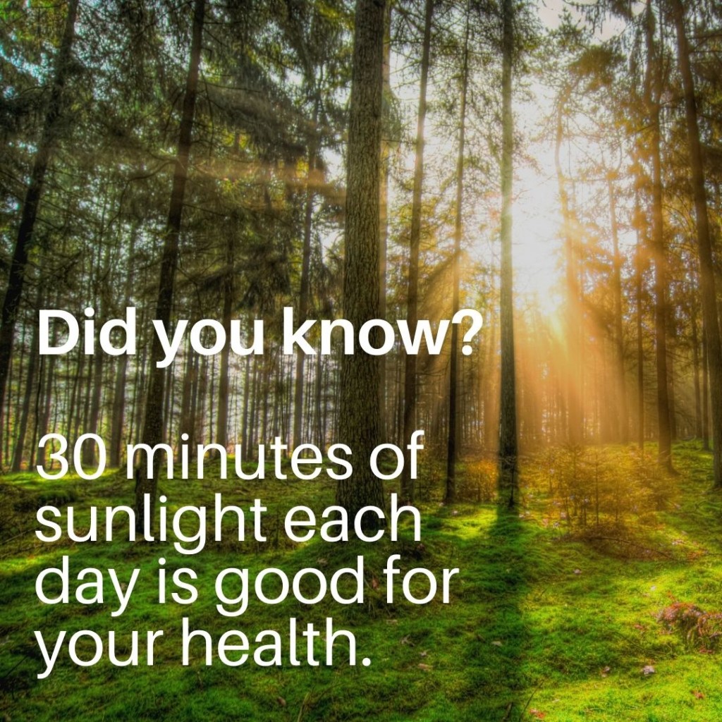 30 minutes of sun