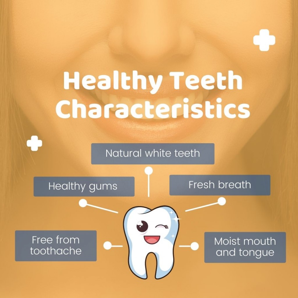healthy teeth characteristics