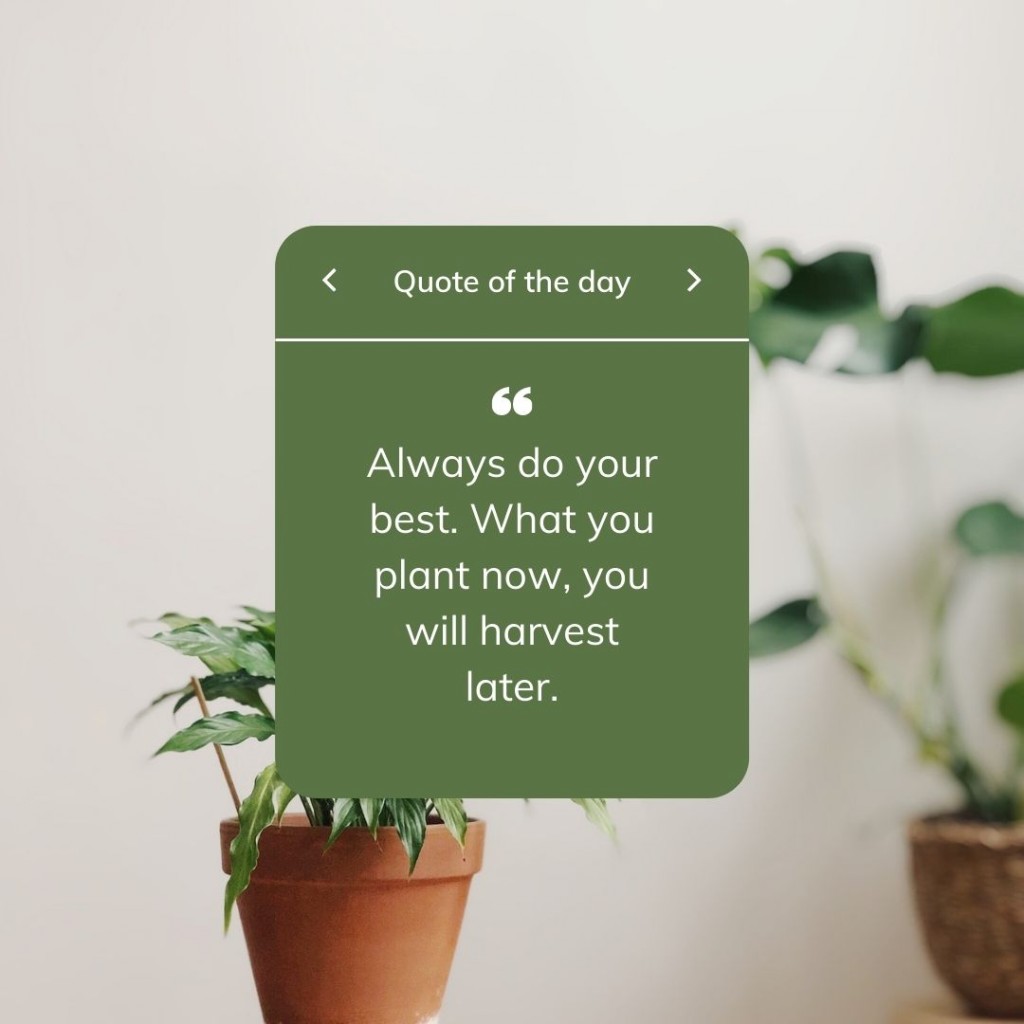 motivation grow