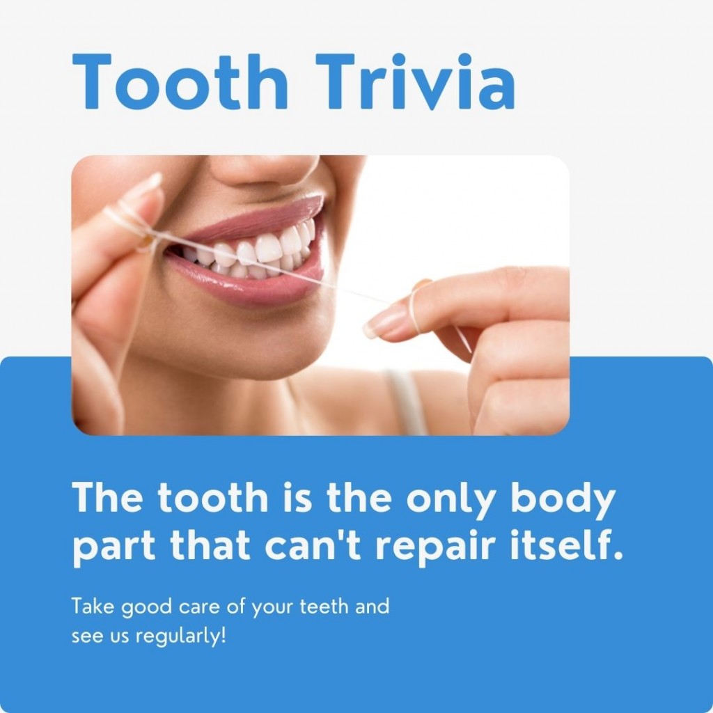 tooth trivia
