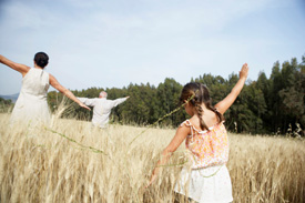 arm airplanes in a field