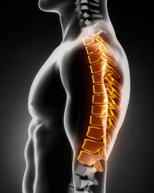 We use a number of highly-effective adjusting approaches to help improve spinal biomechanics and reduce nervous system interference. 