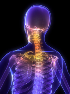 purple transparent spine