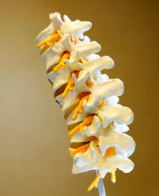 Chiropractic adjusting image