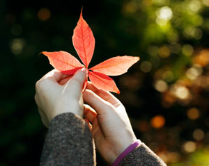 Woman holding a red leaf