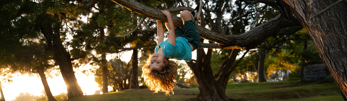 Child climbing a tree