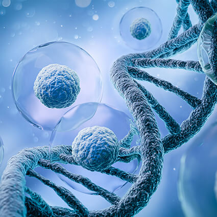 DNA strand