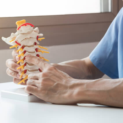 doctor pointing at a model of a spine