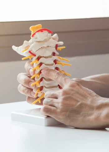 doctor pointing at spine model