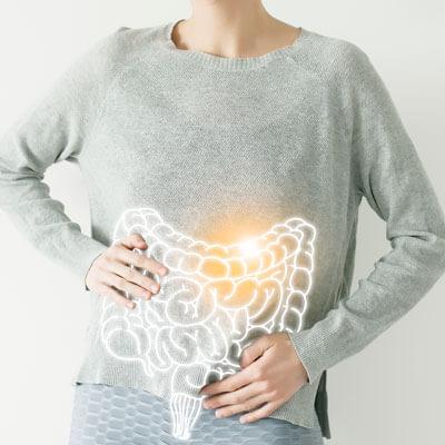 illustration of intestines