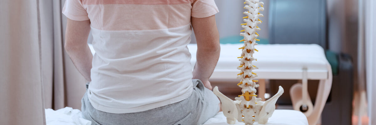 Person sitting by spine model