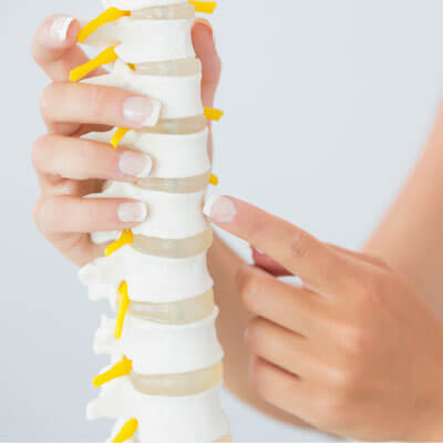 woman pointing at a vertebrae on a plastic model of a spine