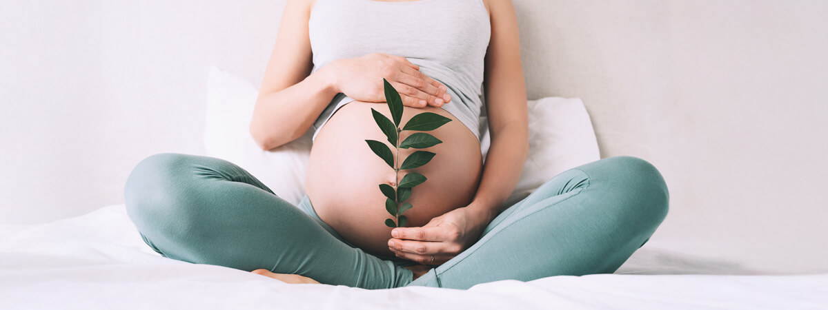 Pregnant woman holding a small branch over her stomach