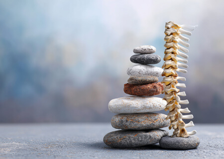 Human spine model next to a pile of rocks